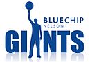 Logotipo da Nelson Giants