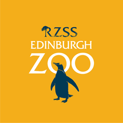 Illustratives Bild des Edinburgh Zoo-Abschnitts