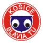 Vignette pour Slávia TU Košice