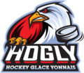 Vignette pour Hockey glace yonnais