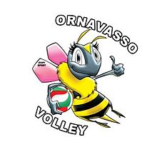 Logo du Pallavolo Ornavasso