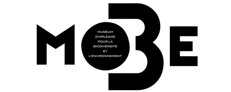 Fichier:Logo museum d'Orléans Mobe.jpg