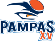 Beschrijving van de afbeelding Logo Pampas XV.png.