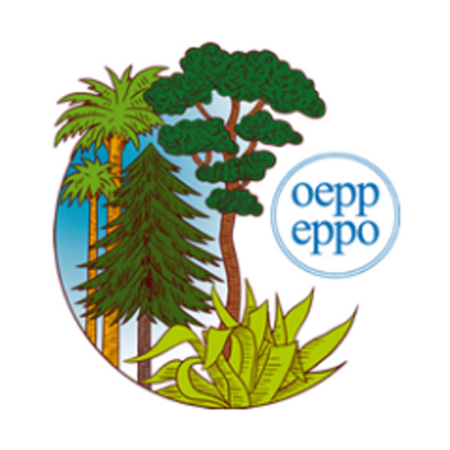 Logo OEPP