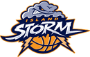 Island Storm logosu