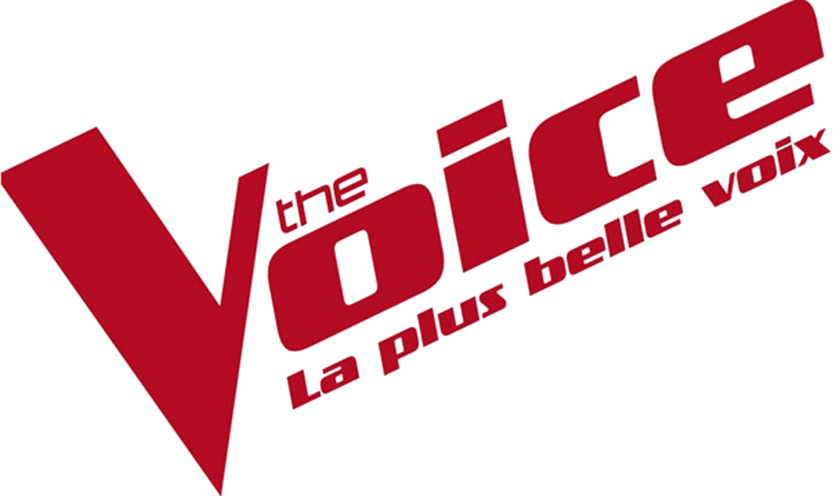 Tout était trop dur : Camille Lellouche revient sur sa participation à  The Voice en 2015