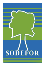 Fichier:Logo Sodefor.svg