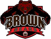 Brownbears.jpg resminin açıklaması.