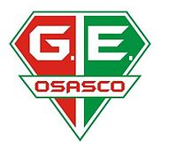 Osasco Voleibol Clube