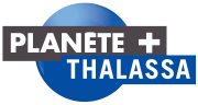 Vignette pour Planète+ Thalassa