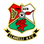 Vignette pour Llanelli Town Association Football Club