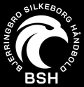 Vignette pour Bjerringbro-Silkeborg