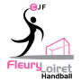 Vignette pour CJF Fleury Loiret Handball