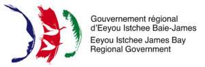 Vignette pour Eeyou Istchee Baie-James (gouvernement régional)