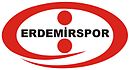 Logo du Erdemir Spor Kulübü