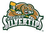 Vignette pour Silvertips d'Everett