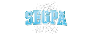 Description de l'image Les SEGPA au ski.png.