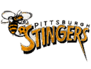 Pittsburgh Stingers Logo