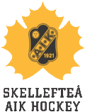 Vignette pour Skellefteå AIK