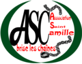 Vignette pour Association Saint Camille de Lellis