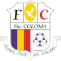 Vignette pour Futbol Club Santa Coloma