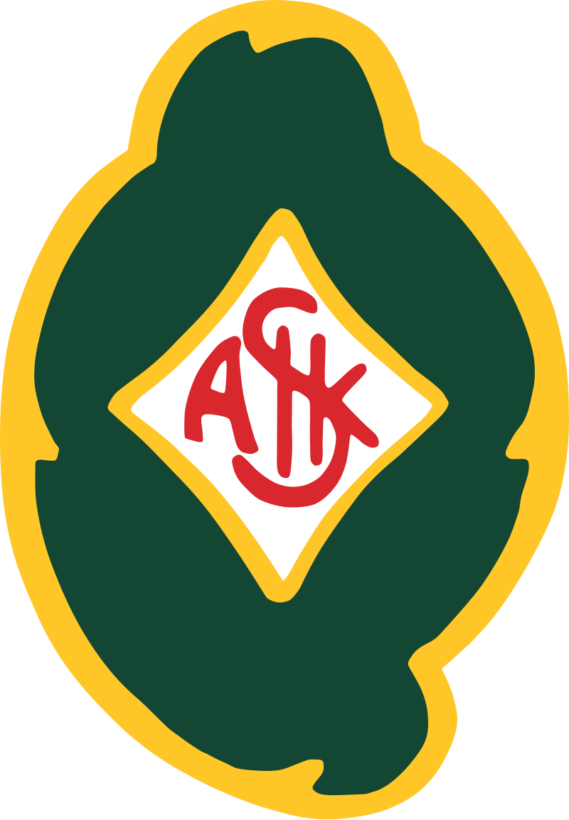 Skövde AIK