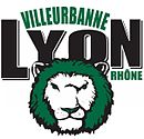 Logo du LVR XIII