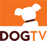 Köpek TV makalesinin açıklayıcı resmi