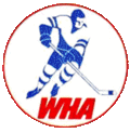Vignette pour Association mondiale de hockey