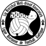 Vignette pour Ligue bretonne de football gaélique
