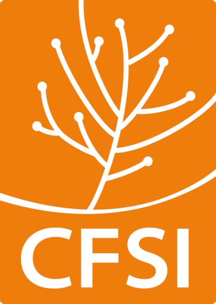 Fichier:Logo-CFSI-ORANGE-HDEF.PNG