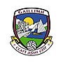 Vignette pour Galway GAA
