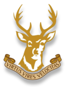 Logo du Ballynahinch RFC