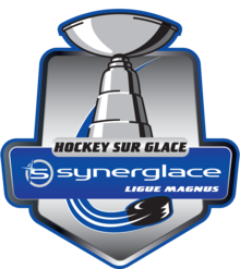 Synerglace Ligue Magnus 2019.png