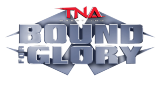 Fortune Salaire Mensuel de Tna Bound For Glory Combien gagne t il d argent ? 1 900,00 euros mensuels