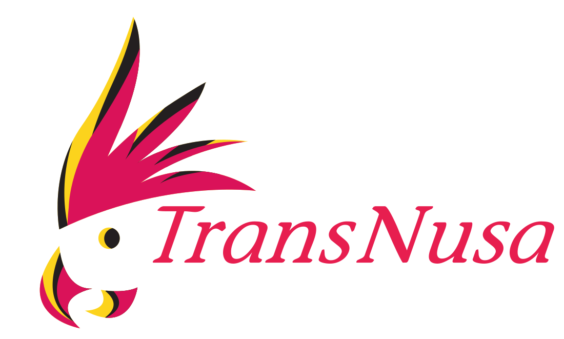 TransNusa Air Services