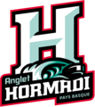 Logo de l'Hormadi élite depuis la saison 2021/2022.