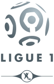 Logo du championnat de France de football