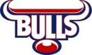 Bulls logo