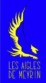 Vignette pour Les Aigles de Meyrin