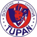 Логотип SE Tupan