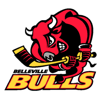 Bulls de Belleville