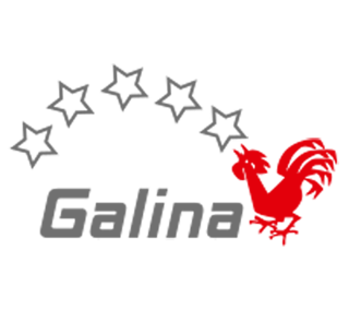 Logo du VBC Galina