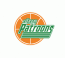 Patroons d'Albany'nin logosu