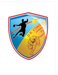 Vignette pour Équipe de république démocratique du Congo masculine de handball