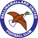 Logotipo de Ballinamallard United