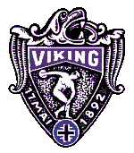 TIF Viking logó