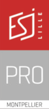 Logo ESJ Pro Montpellier.png