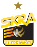 Vignette pour Skra Bełchatów