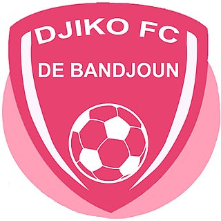 Fortune Salaire Mensuel de Djiko Fc De Bandjoun Combien gagne t il d argent ? 1 000,00 euros mensuels